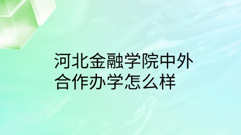 河北金融学院中外合作办学怎么样.jpg