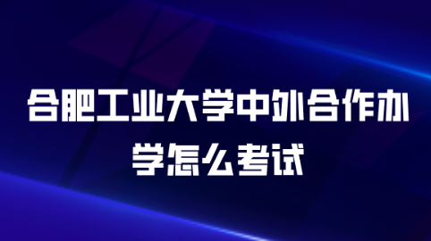 合肥工业大学中外合作办学怎么考试.png