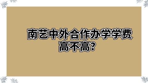 南艺中外合作办学学费高不高？.jpg