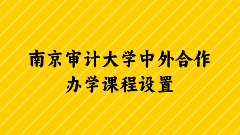 南京审计大学中外合作办学课程设置.png
