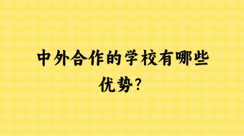 中外合作的学校有哪些优势？.png