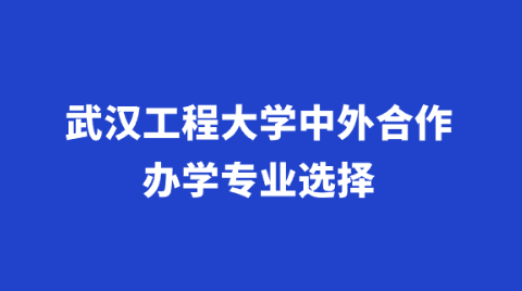 武汉工程大学中外合作办学专业选择.png