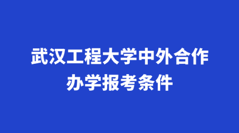 武汉工程大学中外合作办学报考条件.png