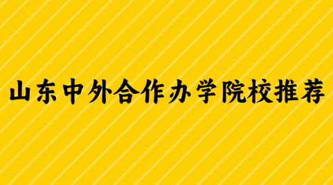 山东中外合作办学院校推荐.png