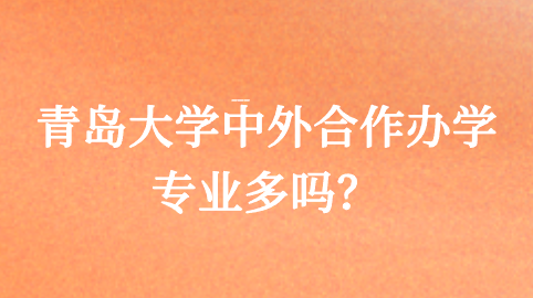 青岛大学中外合作办学专业多吗？.png