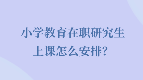 小学教育在职研究生上课怎么安排？.png