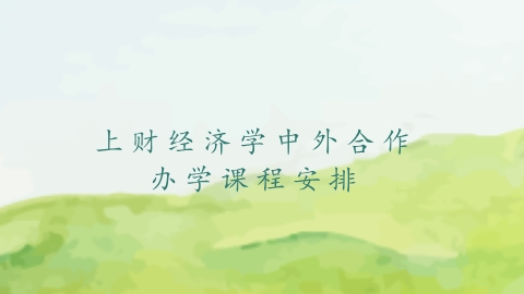 上财经济学中外合作办学课程安排.png